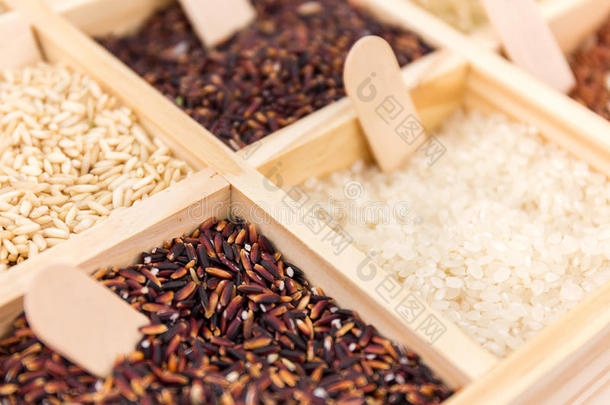 茉莉稻,棕色的稻,红色的稻,黑的稻,混合的稻和英语字母表的第18个字母
