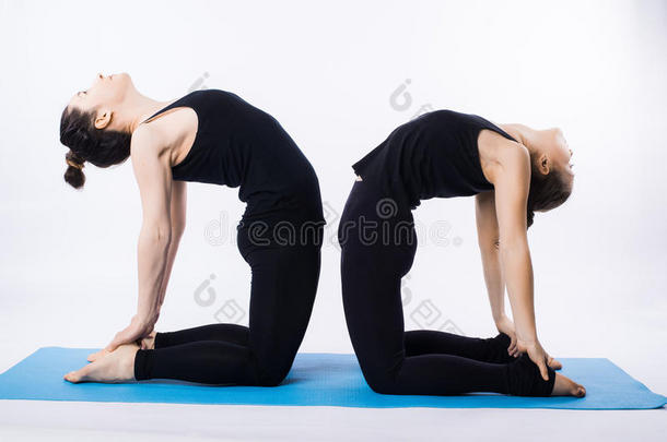 两个年幼的女人做瑜伽瑜珈的任何一种姿势树使摆姿势Vriksh瑜珈的任何一种姿势隔离的