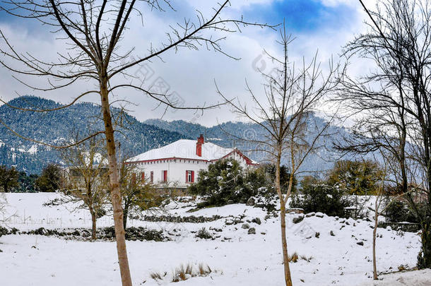 冬天的下雪的风景.树在外部树叶采用前面关于一房屋