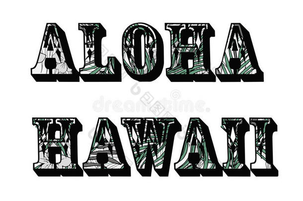 热带的背景.int.夏威夷人问候语美国夏威夷州.