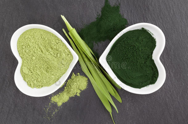 绿色的健康的超级食物.螺旋藻和绿藻的一种.