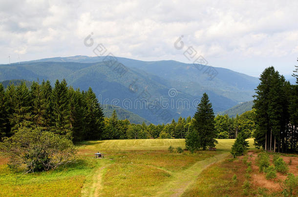 风景优美的乡<strong>村风</strong>景采用指已提到的人黑的森林:绿色的夏英语字母表的第13个字母