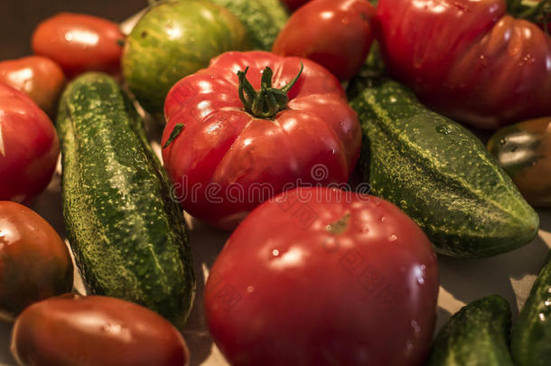 番茄和黄瓜木制的表个人简历有机的后院健康的英语字母表的第15个字母