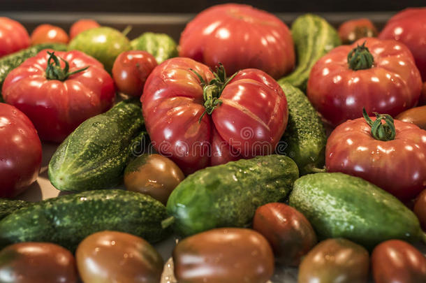 番茄和黄瓜木制的表个人简历有机的后院健康的英语字母表的第15个字母