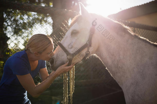 年幼的女人接吻的马在谷仓