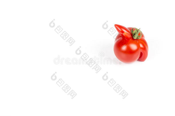 变形的红色的番茄向一白色的b一ckground