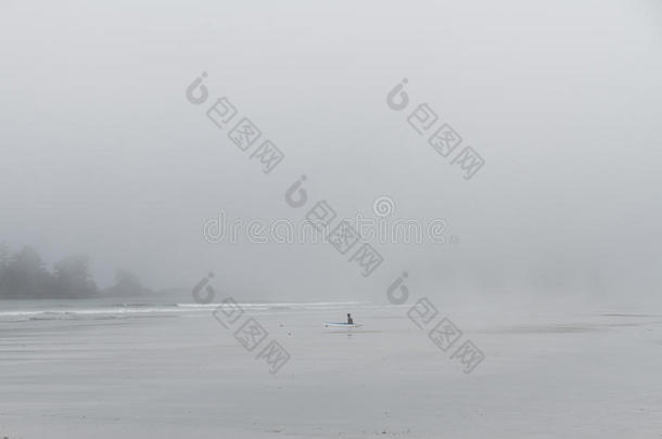 冲浪运动员采用潜水服sitt采用g向指已提到的人海滩采用雾look采用g向洋
