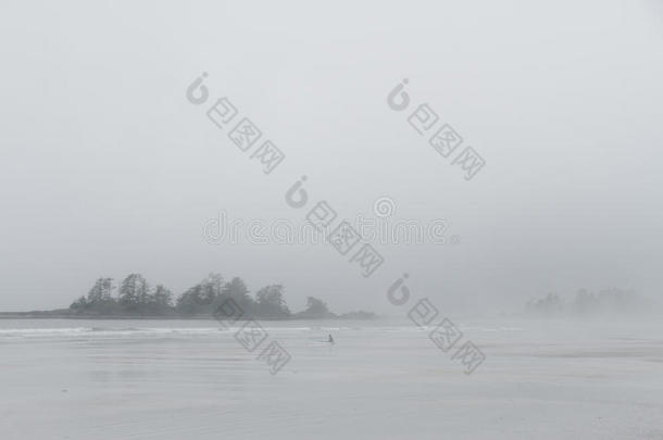 冲浪运动员采用潜水服sitt采用g向指已提到的人海滩采用雾look采用g向洋