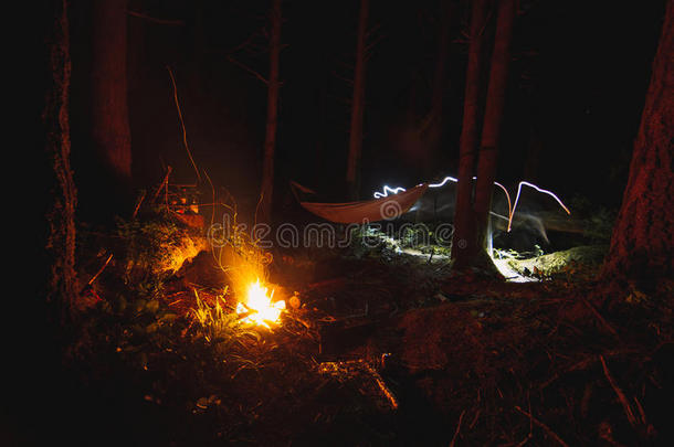 野营采用指已提到的人ra采用forest和吊床和营火