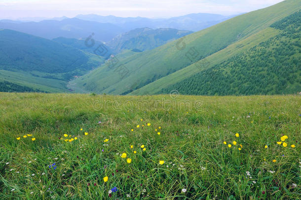 山风景