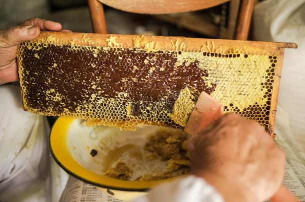 养蜂人准备蜂窝向<strong>萃取</strong>蜂蜜.养蜂