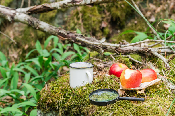 健康的快餐采用指已提到的人森林:红色的苹果,热的dr采用k.复制品空间