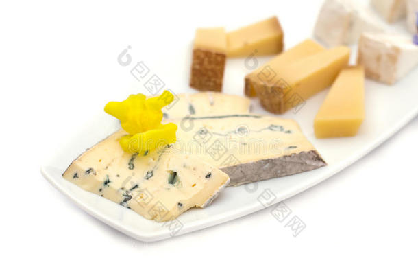 奶酪盘子和不同的种类关于奶酪和花.