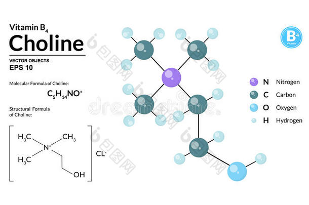 结构的化学的分子的公式和模型关于胆碱.原子