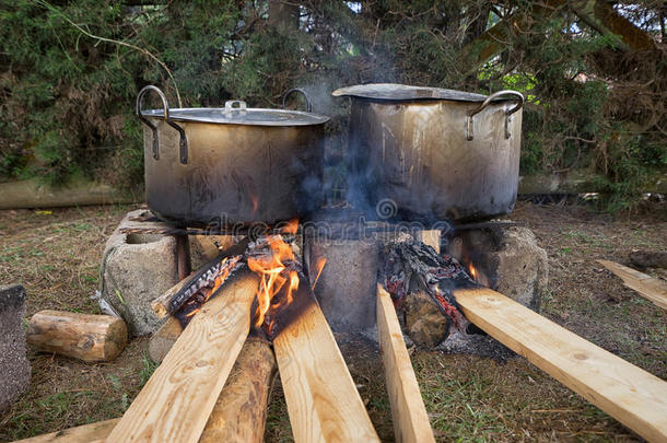 食物煮熟的向木材火