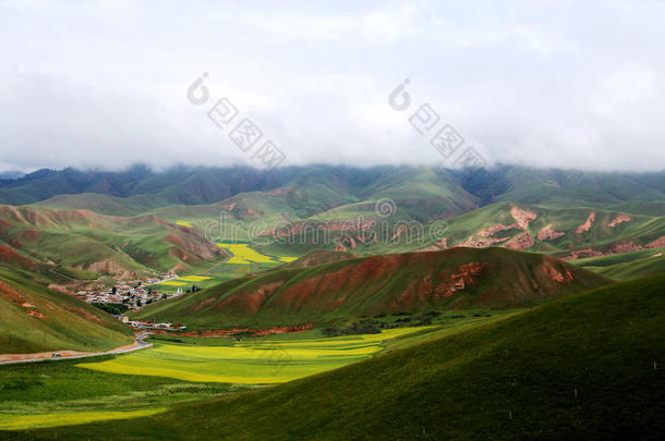 青海祁连卓尔山风景和油菜花