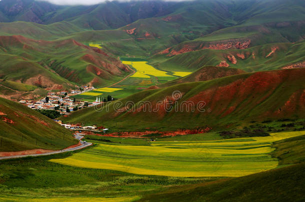 青海祁连卓尔山<strong>风景</strong>和<strong>油菜花</strong>