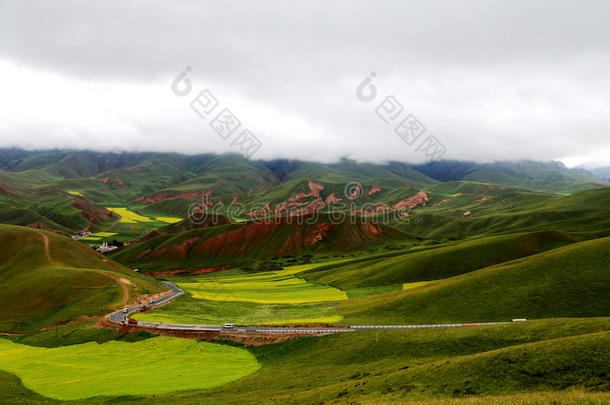 青海祁连卓尔山风景和油菜花