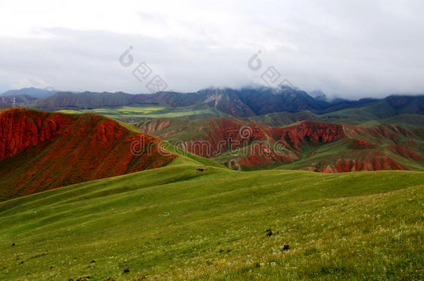 青海祁连卓尔山风景和油菜花