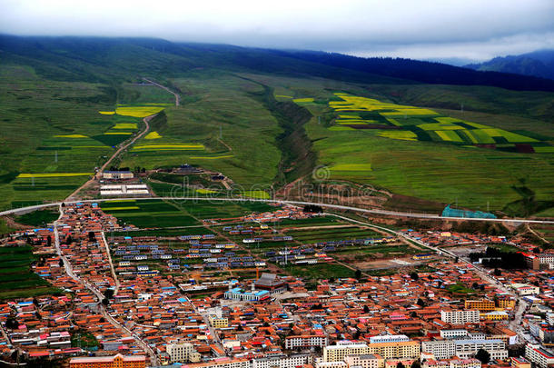 青海祁连卓尔山<strong>风景</strong>和<strong>油菜花</strong>