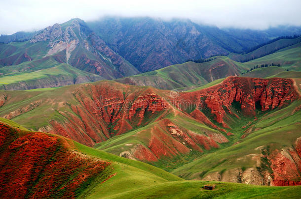 青海祁连卓尔山风景和油菜花