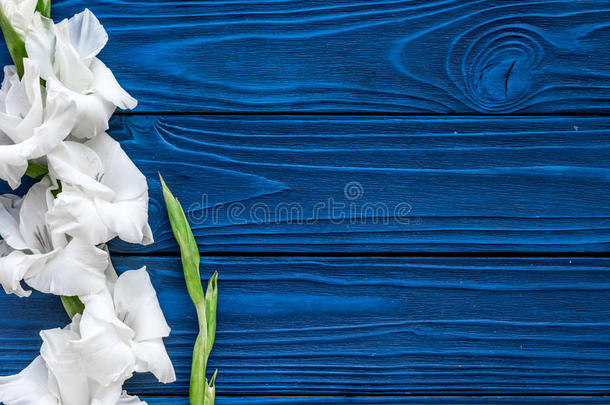剑兰<strong>花</strong>向蓝色木制的背景顶看法共空间