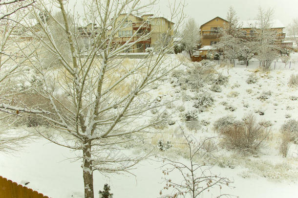 湖美国塔霍湖<strong>雪照片</strong>树/风景