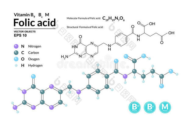 结构的化学的分子的公式和模型关于叶酸酸味的.一