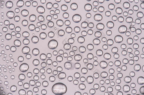 蒸发用的水泡向指已提到的人透明的表面关于指已提到的人肤蝇的幼虫
