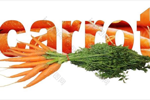 胡萝卜文本和签关于胡萝卜蔬菜