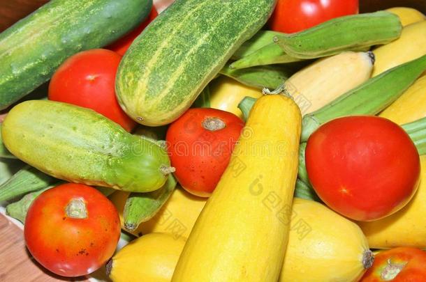 夏蔬菜,黄瓜,挤进,黄秋葵和番茄