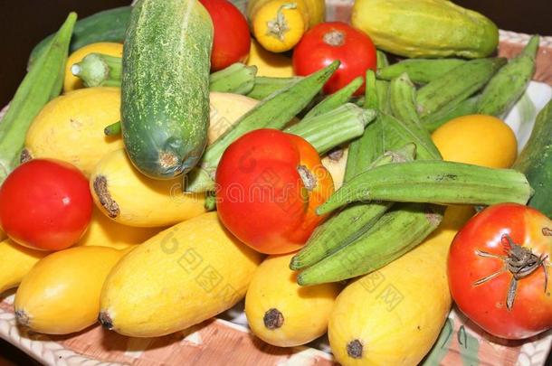 夏蔬菜,黄瓜,挤进,黄秋葵和番茄