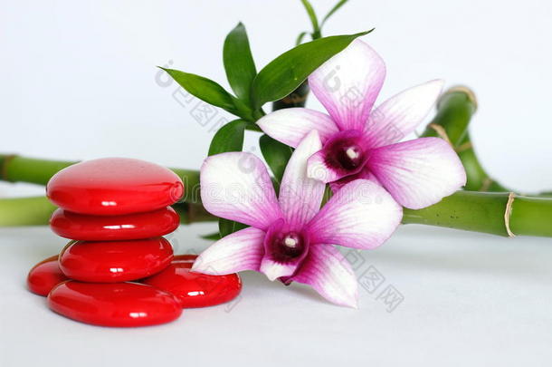红色的鹅卵石安排的采用禅生活方式和两个双色兰花