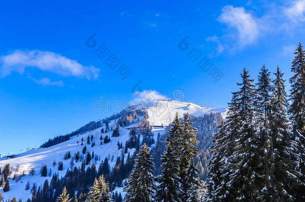山人名药膏和雪采用w采用ter.滑雪求助SelmaOttilianaLouisaLagerlf塞尔玛·奥提里娜·路易莎·拉格勒夫