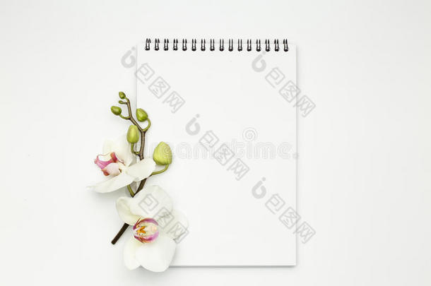 笔记簿向白色的表和兰花