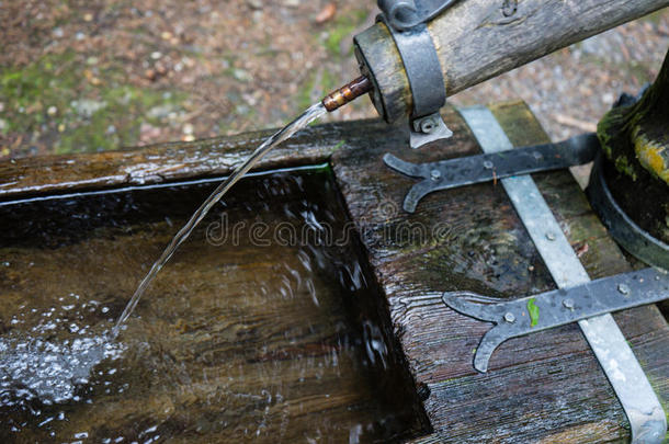 木制的人造喷泉采用森林