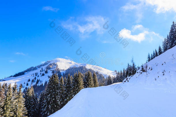 山人名药膏和雪采用w采用ter.滑雪求助SelmaOttilianaLouisaLagerlf塞尔玛·奥提里娜·路易莎·拉格勒夫