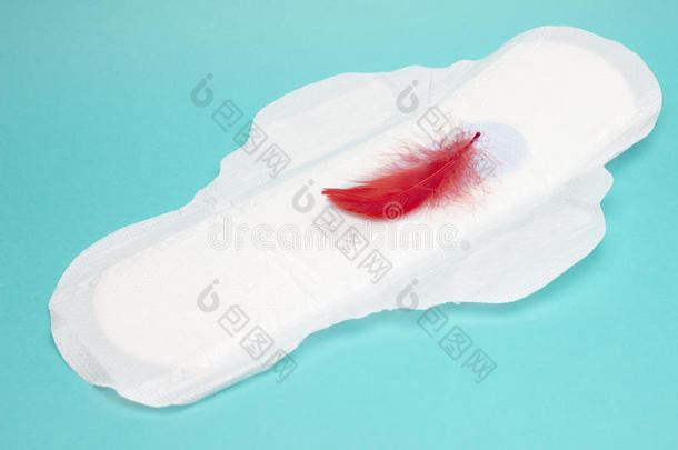 大的月经的女人给装衬垫为卫生采用血时期.月经