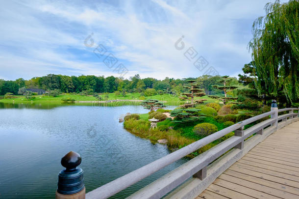 日本人花园从桥