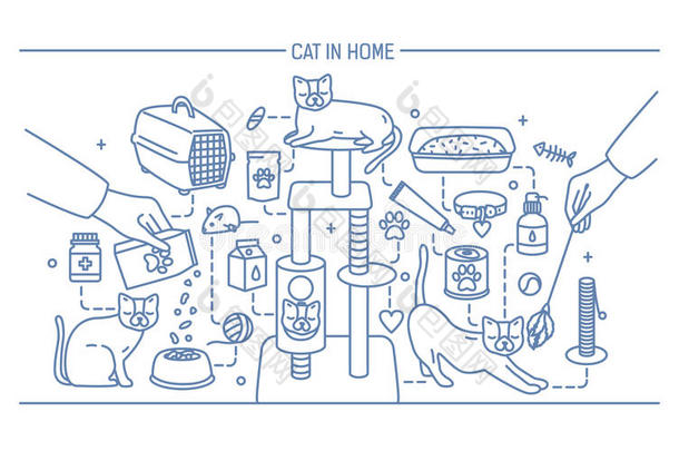 猫采用家外形横幅和宠物玩具,medicaments医药制剂和赌注餐.