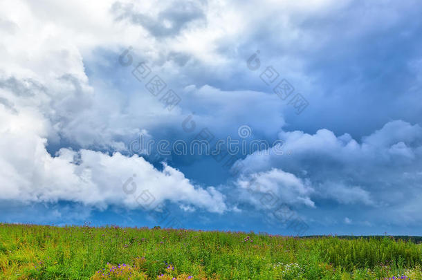 超级单体暴风雨云在上面草地和绿色的草.夏standingorder经常订单