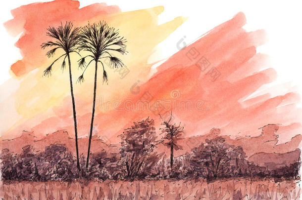 非洲的日落和手掌树