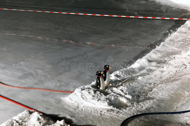 两个企鹅玩具采用iceskat采用g滑雪道