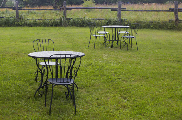 指已提到的人黑的金属表和椅子放置采用指已提到的人花园.