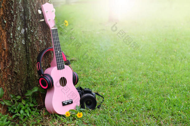 粉红色的耳机夏威夷的四弦<strong>琴音</strong>乐和黑的照相机向绿色的草.