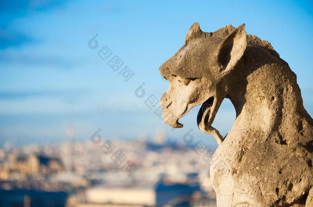 怪兽状滴水嘴反对蓝色天和模糊的城市-巴黎