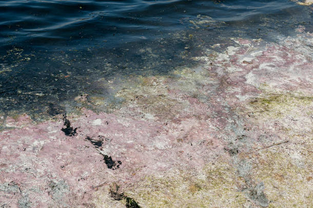 浪费水环境的污染自然.恶劣的和泡warmair热空气