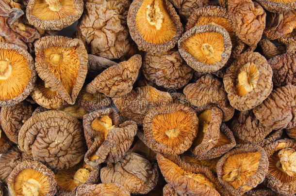 干燥的香菇蘑菇特写镜头食物背景质地