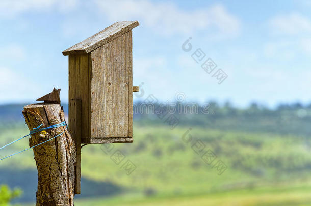 鸟房屋木制的盒采用夏时间