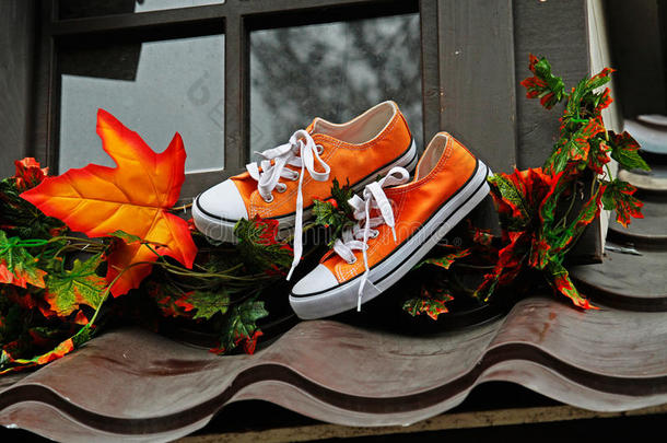 旅游鞋和树叶同样地秋装饰为大街节日`=moment